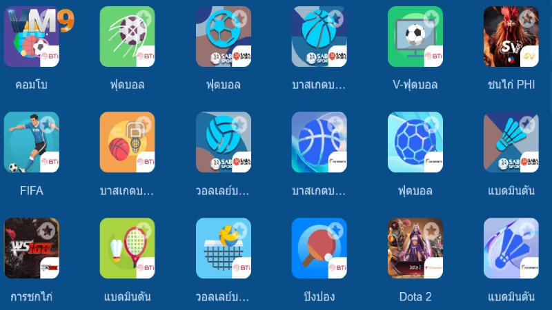 กีฬา VM9 เว็บพนันกีฬาออนไลน์อันดับ 1 แทงบอลค่าน้ำดีที่สุด 2026