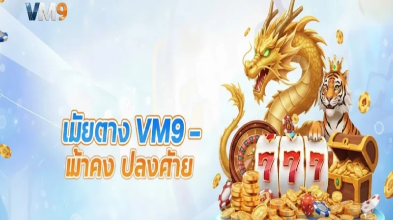 เว็บตรง VM9 มั่นใจทุกการเดิมพัน ไม่ผ่านเอเย่นต์ ปลอดภัย 100%